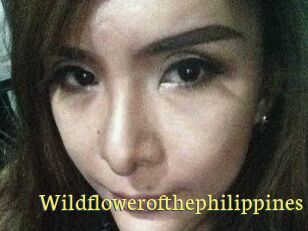 Wildflowerofthephilippines