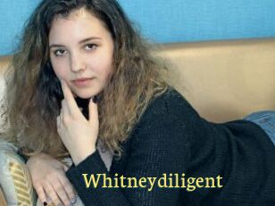Whitneydiligent