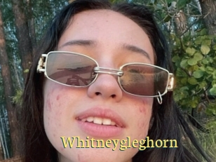 Whitneygleghorn