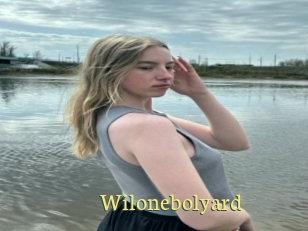 Wilonebolyard