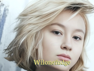 Wilonefudge