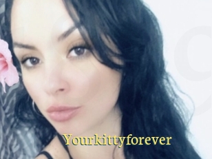 Yourkittyforever