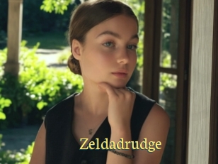 Zeldadrudge
